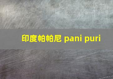 印度帕帕尼 pani puri